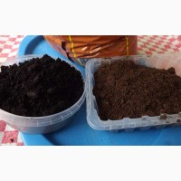 Почва для голубики Киев Грунт для посадки голубики продажа Киев. Торф кислый
