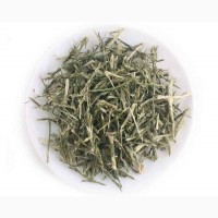 Солянка холмовая (трава) 50 грамм