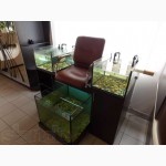 Продам аквариум для Fish-Spa ( фиш-пилинг)
