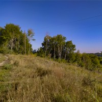 Дві земельні ділянки, площею 50 соток в Кузьминцях, Кагарлицького р-ну Київської області