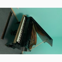 Кабінетний рояль Franz Wirth model 5
