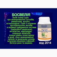 Ерсаг 2014 Ладан Boswellia Serrata суглоби, астма, артрит, псоріаз, хрящ