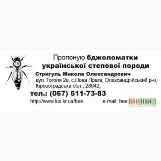 Бджоломатки укр. степової породи