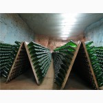Экскурсия на Артемовский завод шампанских вин