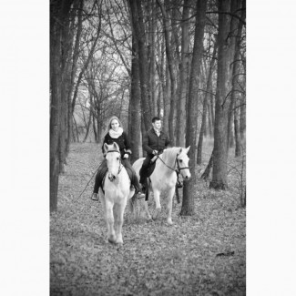 Оригинальный подарок к 8 марта - конная прогулка, фотосессия с лошадью