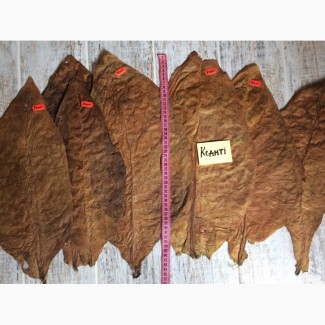 Насіння і лист тютюну (Семена табака) 25 сортів