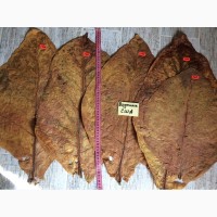Насіння і лист тютюну (Семена табака) 25 сортів