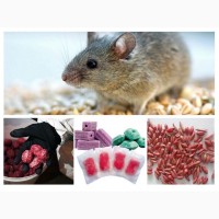 АНТИМЫШИН АНТИМИШИН препарат для борьбы с грызунами – крысами, мышами и полевками