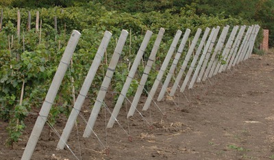 Железобетонные столбы для винограда малины Запорожья