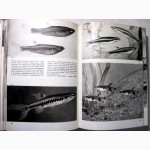Большой Иллюстрированный атлас рыб Чешский яз. Frank Stanislav Velký obrazový atlas ryb