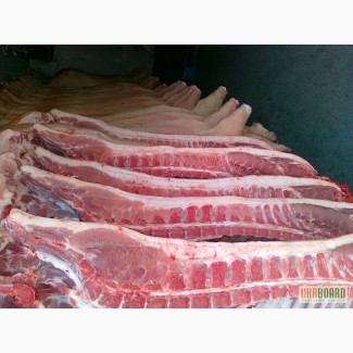 Продам Говядину оптом (корову, быка) - мясо говядины - Корова, Бык. Киев есть Halal