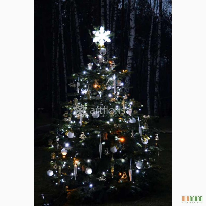 Фото 5. Иллюминация уличных елок, украшение елки гирляндами и мотивами, новогоднее оформление к но