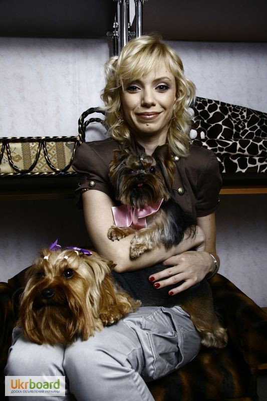 Фото 7. Бесплатная стрижка собак Киев, груминг и тримминг собак в Киеве