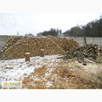 Продам дрова дубовые
