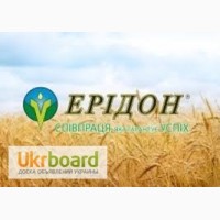 МПП» фірма» Ерідон» реалізує насіння соняшника, кукурудзи