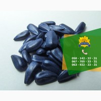 Семена подсолнечника / Насіння соняшника Ясон від виробника