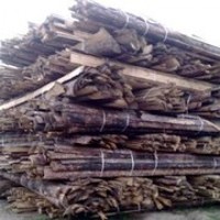 Закупаем древесную щепу.Покупаем отходы пилорам древесные в больших количествах