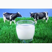 Мини-ферма предлагает молоко