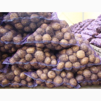 Продается картофель свежий урожая 2020 года из Беларуси