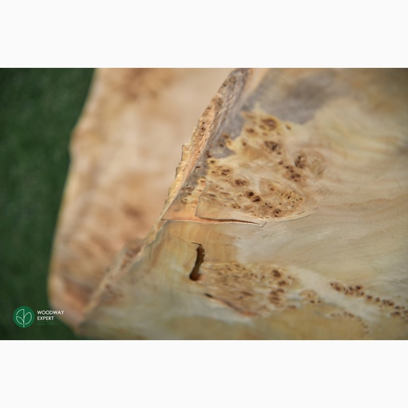 Фото 2. Шпон капу вічкової тополі 0, 7 мм, довжина від 0.6 м logs / singl
