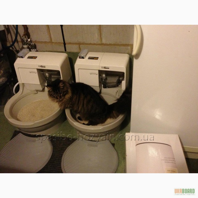 Фото 2. Революционный Автоматический туалет для кошек! Ваша кошка УБИРАЕТ САМА!