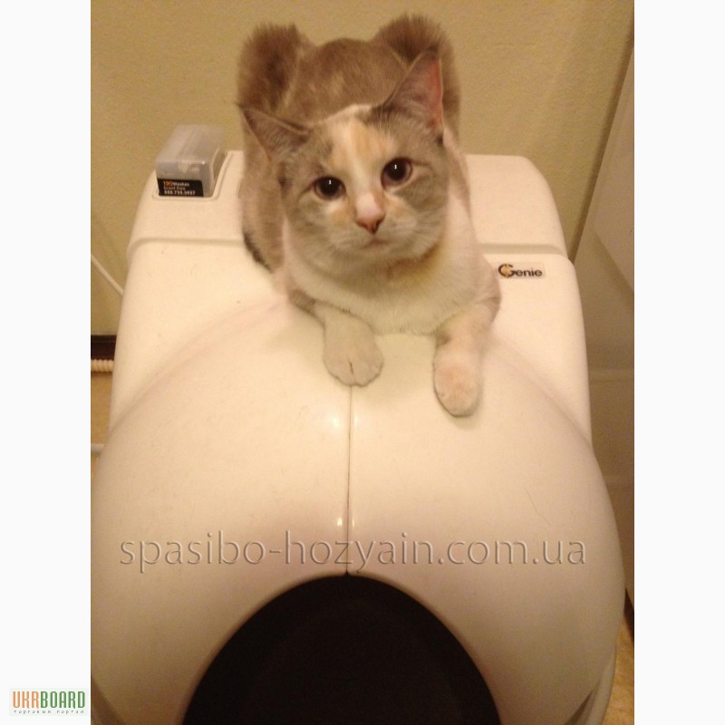 Фото 3. Революционный Автоматический туалет для кошек! Ваша кошка УБИРАЕТ САМА!