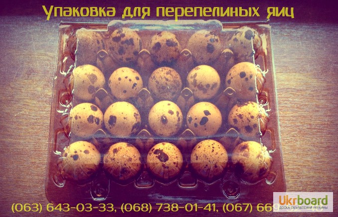 Фото 2. Профессиональная, качественная упаковка для перепелиных яиц в Украине