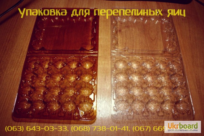 Фото 4. Профессиональная, качественная упаковка для перепелиных яиц в Украине