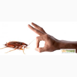 Уничтожение тараканов и других насекомых в Днепропетровске
