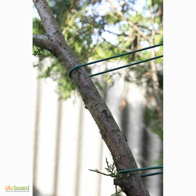 Фото 3. Кембрик-агротрубка подвязка для сада, винограда