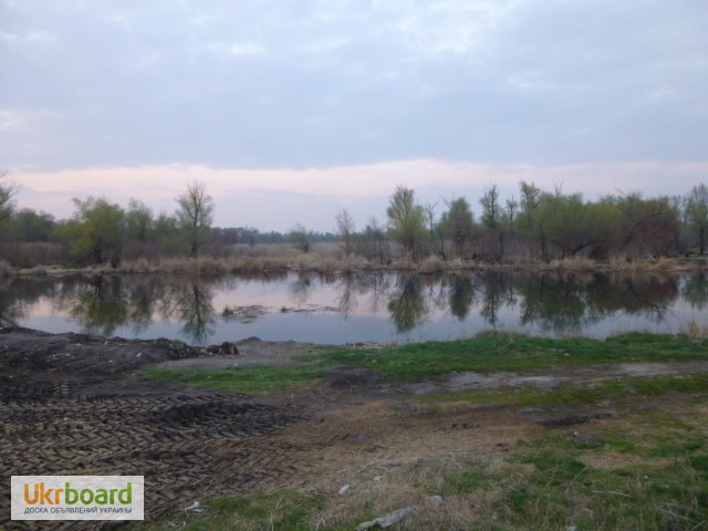 Фото 17. Продам участок на реке Цюрупинск