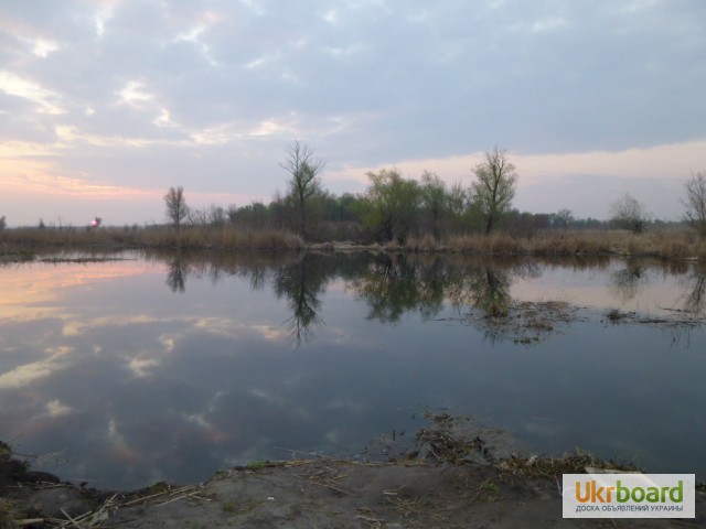 Фото 19. Продам участок на реке Цюрупинск