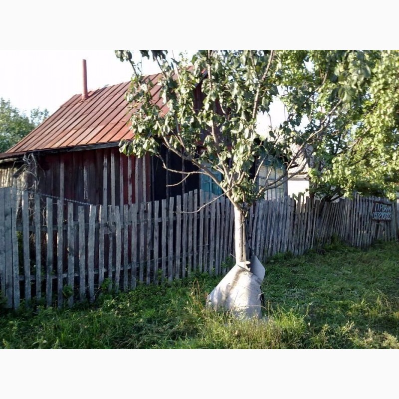 Фото 7. Участок с домом Салтов-Рубежное