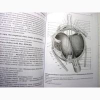 Анатомія центральної нервової системи Чорнокульський 2006 спинний головний мозок органи