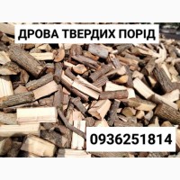 Продаємо дрова твердих порід