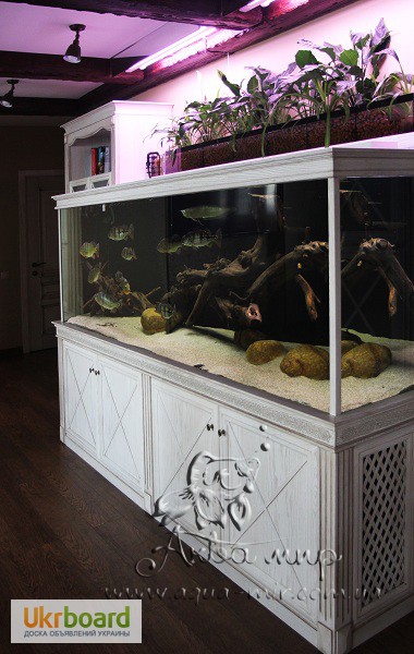 Фото 4. Изготовление аквариумов и террариумов из стекла по Вашим размерам