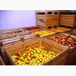Охладители для овощей и фруктов.Доставка, установка по Крыму