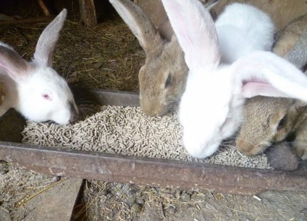 Комбикорм для кроликов с травяной мукой, мешок 30кг