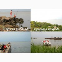 Отдых на берегу Черного моря в частном секторе