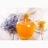 Мед продукты пчеловодства акация липа разнотравье мед пчелиный