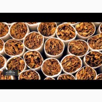 Табак с украинского листа, хорошие сорта и не дорого