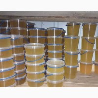 Продам акациевый мёд от 100 кг