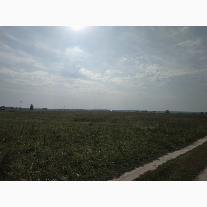 Фото 2. Продам землю сільськогосподарського призначення (32 км от Києва)