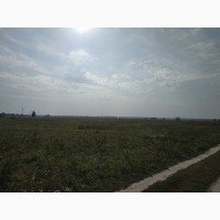 Продам землю сільськогосподарського призначення (32 км от Києва)