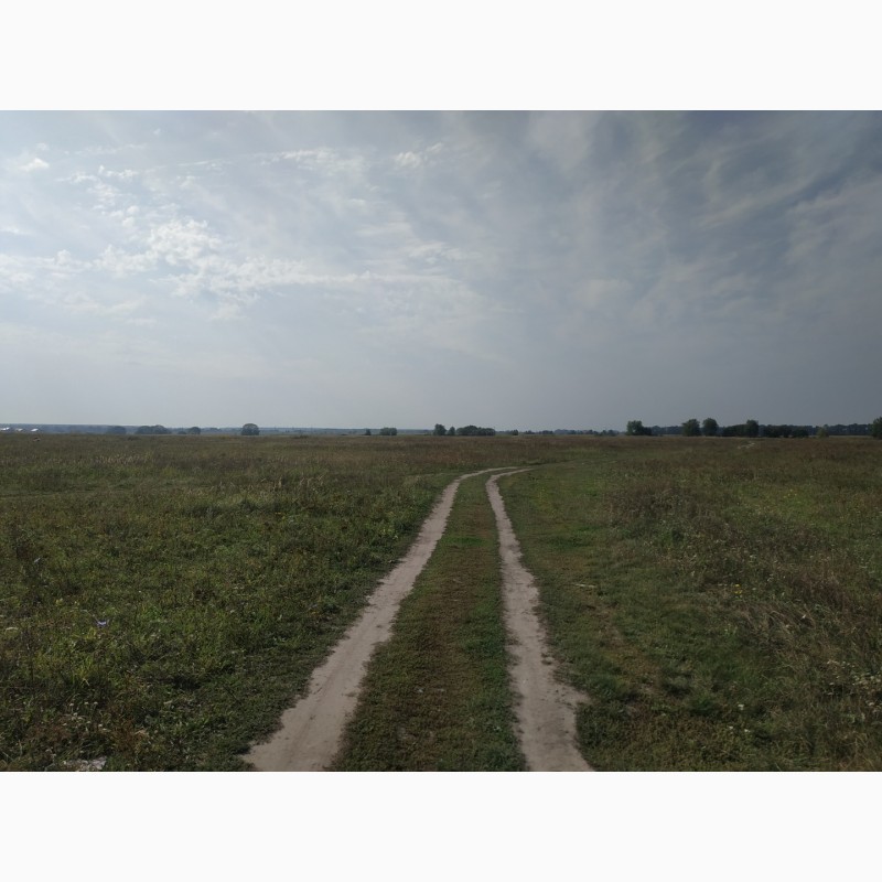 Фото 3. Продам землю сільськогосподарського призначення (32 км от Києва)