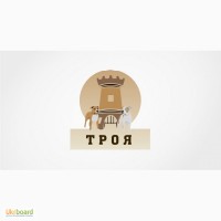 Дрессировочная площадка на Троещине Троя