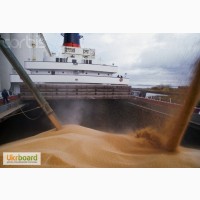 Пшеница 3 класса FOB порты Черного моря
