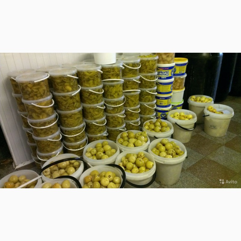 Фото 5. Ведра, емкости, контейнеры для меда и засолки овощей