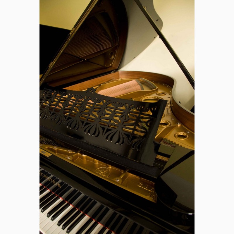 Фото 2. Bechstein Model C 7-футовый салонный рояль