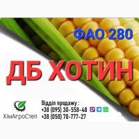 Насіння кукурудзи - ДБ ХОТИН (ФАО 280) від ТОВ ХімАгроСтеп